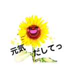 お話だいすき花（個別スタンプ：4）