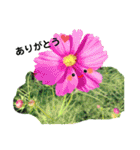 お話だいすき花（個別スタンプ：6）
