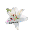 お話だいすき花（個別スタンプ：7）