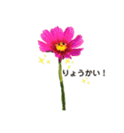 お話だいすき花（個別スタンプ：8）