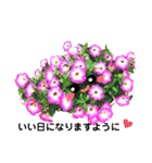 お話だいすき花（個別スタンプ：11）