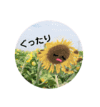 お話だいすき花（個別スタンプ：13）