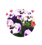 お話だいすき花（個別スタンプ：14）