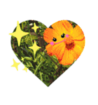 お話だいすき花（個別スタンプ：15）