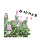 お話だいすき花（個別スタンプ：21）