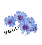 お話だいすき花（個別スタンプ：23）