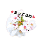 お話だいすき花（個別スタンプ：28）