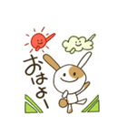 ぶちうさぎ。日常よく使う挨拶＆言葉（個別スタンプ：1）