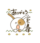 ぶちうさぎ。日常よく使う挨拶＆言葉（個別スタンプ：10）