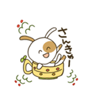 ぶちうさぎ。日常よく使う挨拶＆言葉（個別スタンプ：12）