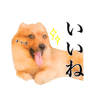 チャオのスタンプbyタップママ（個別スタンプ：4）