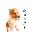 チャオのスタンプbyタップママ（個別スタンプ：6）