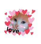 美人猫 ここにゃん（個別スタンプ：4）
