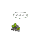 コケ（個別スタンプ：15）