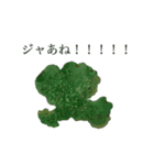 コケ（個別スタンプ：17）