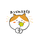 エプロンねこ（個別スタンプ：15）