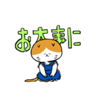 エプロンねこ（個別スタンプ：16）