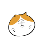 エプロンねこ（個別スタンプ：20）