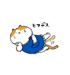 エプロンねこ（個別スタンプ：22）
