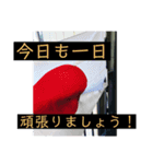 夜桜family（個別スタンプ：4）