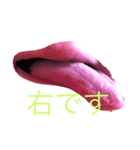 私の舌と鼻と耳はあなたの心です（個別スタンプ：3）