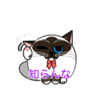 ラグドールのラテさんとクラゲのクーさん（個別スタンプ：6）