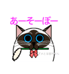 ラグドールのラテさんとクラゲのクーさん（個別スタンプ：9）