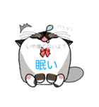 ラグドールのラテさんとクラゲのクーさん（個別スタンプ：16）