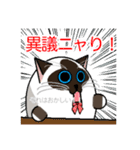ラグドールのラテさんとクラゲのクーさん（個別スタンプ：19）
