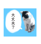 ソラちゃんスタンプ（個別スタンプ：2）