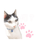 ソラちゃんスタンプ（個別スタンプ：3）