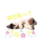 ソラちゃんスタンプ（個別スタンプ：4）