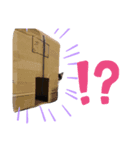 ソラちゃんスタンプ（個別スタンプ：5）
