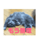ティーダのスタンプ（個別スタンプ：2）