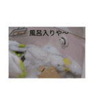 ケンカエルちゃう〜（個別スタンプ：22）