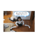 ケンカエルちゃう〜（個別スタンプ：24）