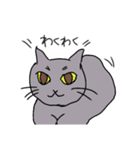 怒れる猫。（個別スタンプ：40）