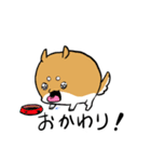 あに丸's（個別スタンプ：25）