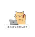 日常的な一言＆ニャンコ（個別スタンプ：11）