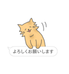 日常的な一言＆ニャンコ（個別スタンプ：13）