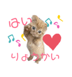 我が家の猫’s（個別スタンプ：5）