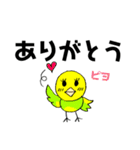 デカ文字 ピヨコ！（個別スタンプ：1）