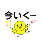 デカ文字 ピヨコ！（個別スタンプ：11）
