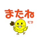 デカ文字 ピヨコ！（個別スタンプ：21）