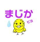 デカ文字 ピヨコ！（個別スタンプ：23）