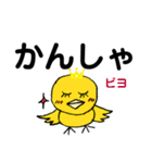 デカ文字 ピヨコ！（個別スタンプ：24）