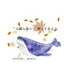 シロナガスクジラの癒しスタンプ（個別スタンプ：8）