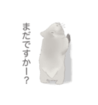 ウォンバットばっかり（個別スタンプ：5）