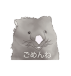 ウォンバットばっかり（個別スタンプ：14）