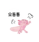 振り返ったウーパールーパー（韓国語）（個別スタンプ：5）